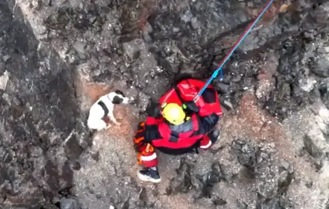 The moment the dog was rescued from the quarry