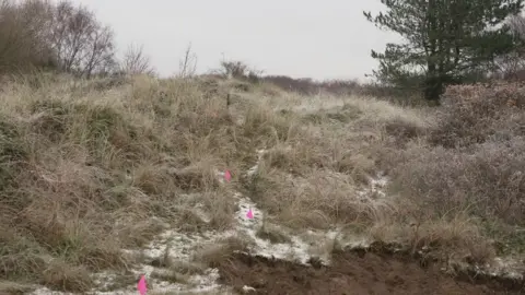 BBC Sand dunes covered in vegetation