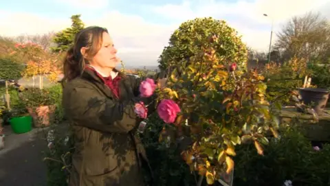 Nursery owner Tracey Lund