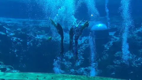 Janine Zeitlin Vicki at her show