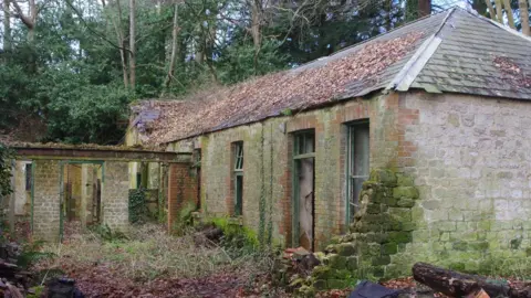 Martyn Phillis A derelict stable block