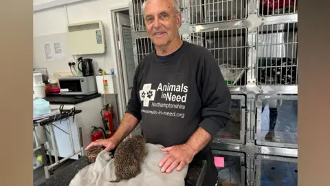 Kate Bradbrook/BBC Roy Marriott wearing a grey sweatshirt with Animals in Need in white lettering on its front, standing behind a hedgehog on a cloth inside the charity's hospital with cages behind