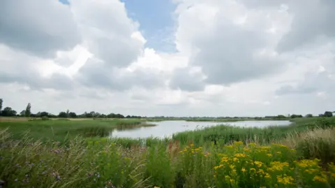 RSPB/PA Ouse Fen quarry nature reserve