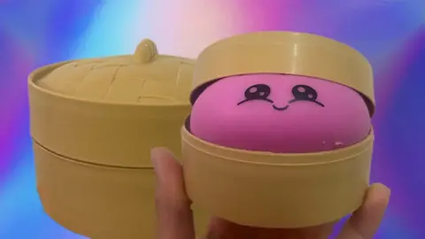 Pink Squishy dumpling toy and case