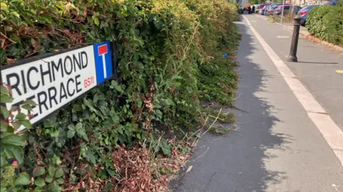 A road sign which says 'Richmond Terrace' in a bush