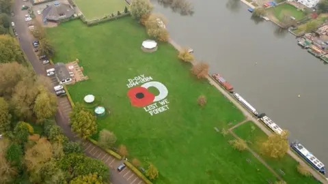 Richard Pinches Bird's eye view of the poppy painting