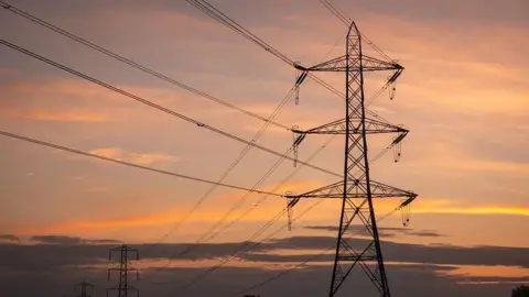 Getty Images A dark electricity pylon with wires attached. There is a sky with an amber glow in the background.