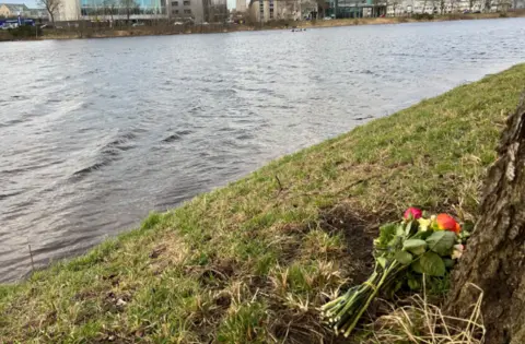 A pile of red and yellow flowers under a tree by the river