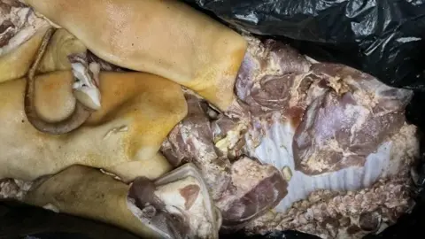 Close up of illegally imported meat in an open black bag