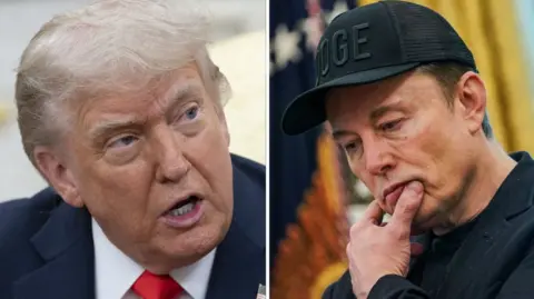 Trump and Musk split pic