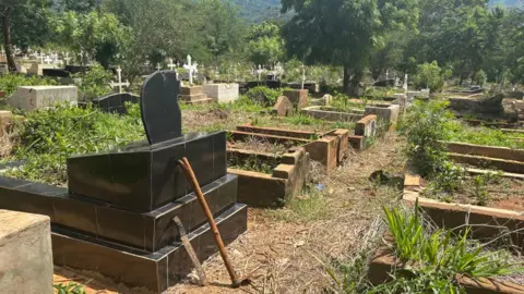 A wide view of a cemetery showing a series of sabotage graves. The cemetery is in a fertile environment with green trees and bushes.