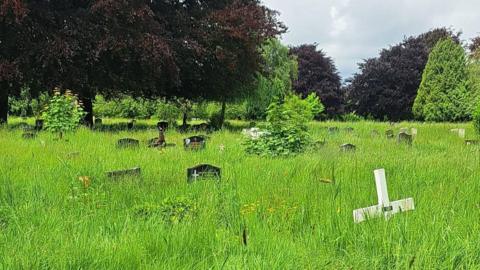 Overgrowth at London Road Cemetery in Coventry