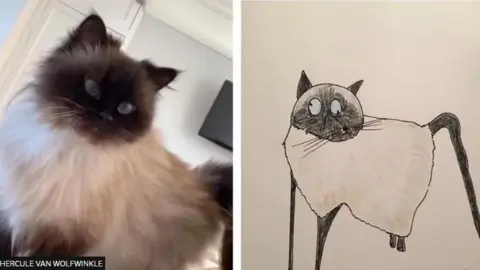 Hercule Van Wolfwinkle Cat and cat drawing by Hercule Van Wolfwinkle 