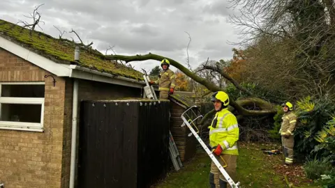 Suffolk Fire and Rescue Service Three firefighters removing the tree from the bungalow's roof. They are wearing green hi-vis jackets and helmets. One firefighter is standing on a ladder leading to the roof while the two others are on the ground