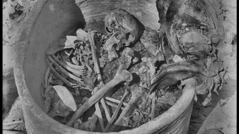 Garstang Museum/Liverpool University/Nature A black and white picture showing a colleaction of bones including the person's skill in a vircular vessel