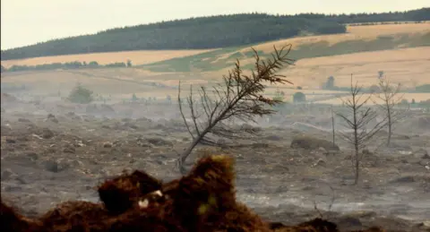 SYFRS Fire damage across a landscape, with smoke rising.