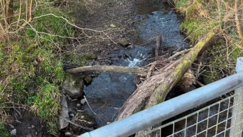 Andy Richardson A small waterway with a large trunk lying over the water. Grass covers both banks of the water. A metal barrier is overlooking the waterway.