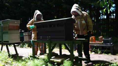 Michelle Lyons/BBC Two people in beekeeper outfits looking at a hive.