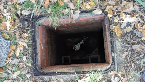 RSPCA A badger stuck in a manhole