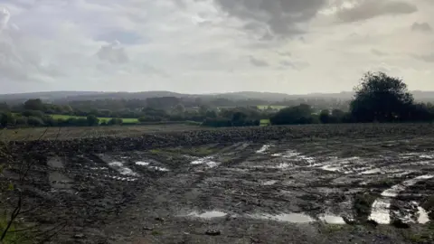 Daniel Mumby Land between Little Keyford Lane and the A361 in Frome, where the development is planned. It is a field with puddles and mud on it. In the background are hills and trees.