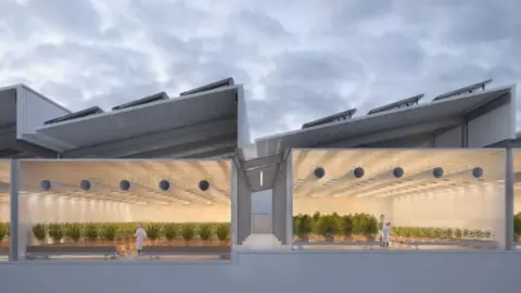 Mailen Design A 3D rendering of some of the facilities that have been given planning permission. Two glass-fronted buildings with large grey sloping roofs. Inside the windows are scientists in white lab coats tending to long rows of plants. 