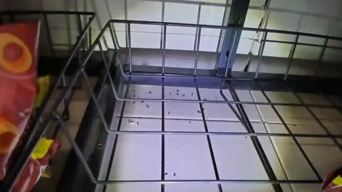 Portsmouth City Council Mouse droppings on a shop shelf