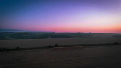 A field. with purple skies over.