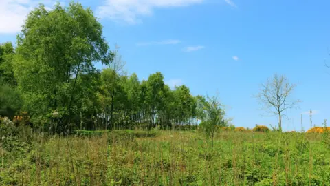 Walsall Council Barr Beacon