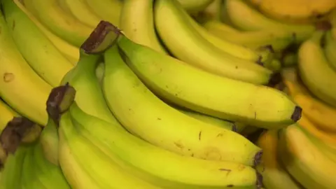 A generic image of bunches of greenish/yellow bananas on a supermarket stand. 