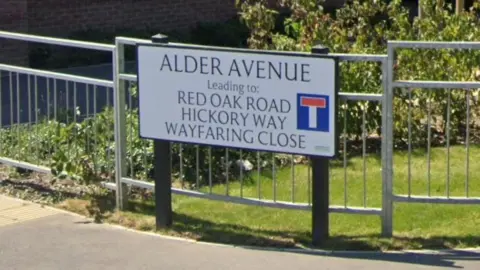 Google street view still of a sign saying Alder Avenue.