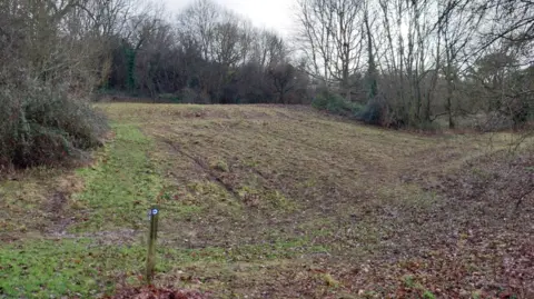 GARAS A patch of undulating grass surrounded by woodland which has been cleared ready for the planting