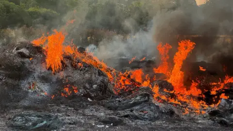 A fire and black ash left over from a bonfire. Smoke is rising. It's morning. Trees are in the background. 