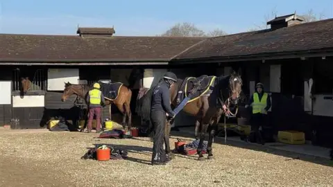 The Berkshire Stables, horses and staff