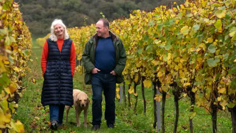 Sarah and Mark Driver are walking with their dog between rows of vines on their wine estate in Sussex. The vines are seen in the autumn, when the leaves are turning yellow/brown, and the couple are wearing outdoor jackets and coats.