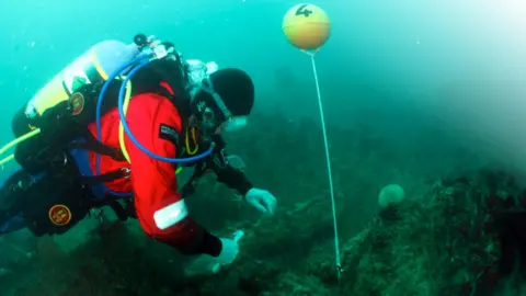 A diver in a red top with a cylinder strapped to their back examines items on the  seabed. There is a yellow ball with the number 4 on it attached to a seaweed-covered structure.
