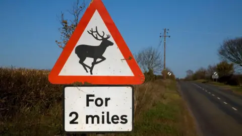 Getty Images Deer warning sign