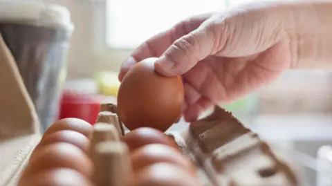 A carton of eggs are in focus, with a hand picking up on egg.