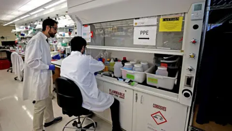 Getty Images Researchers at a lab in Boston test milk from the area's grocery stores for traces of bird flu.