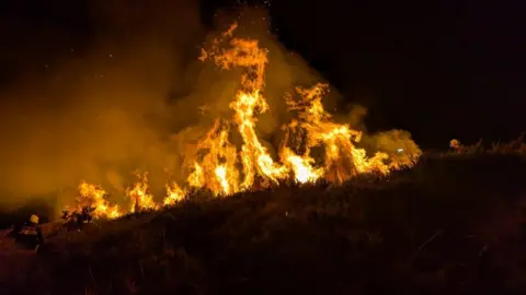 A view of a wildfire at night. Flames are burning in a straight line.