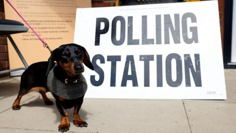 Dog on lead standing in front of  sign saying polling station