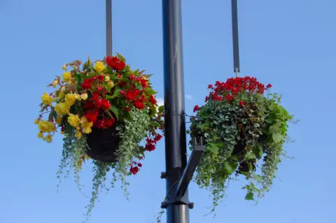 Chatteris in Bloom Hanging baskets on lampposts