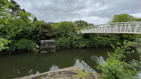 A wide image of the river Tawe. On both sides there are green trees and bushes. On the right, there is a white bridge which connects both sides. The water is dark green. 
