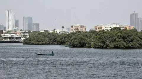A fisherman casts his net into the Arabian sea in Karachi 