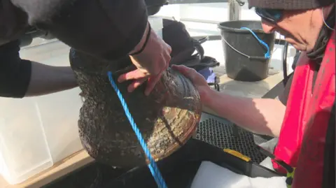 Hands holding an old bell from a World War One battleship. The bell looks encrusted from more than 100 years under water
