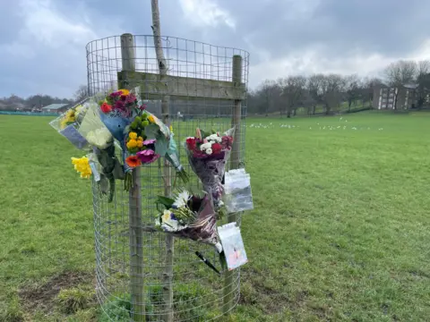 Bunches of flowers attached to a tree in a park