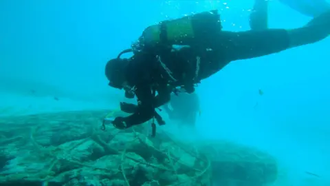 A diver filming the corals underwater.