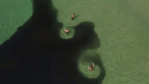 A school of anchovies seen from above, forming a dark path around three sea swimmers