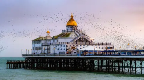 A 19th-century seaside pier in England. A murmuration of starlings is flying over it at sunset. 