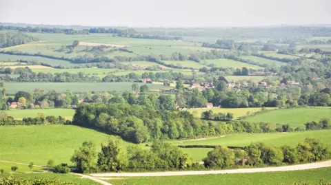 Ruth Feber A picture of countryside, with many trees and hedgerows, on a clear day.