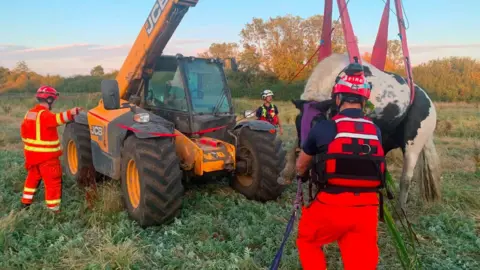 Leicestershire Fire and Rescue Service Nell the horse being rescued by Leicestershire Fire and Rescue Service and some farmers